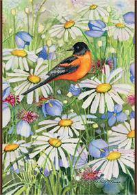 Baltimore Oriole and Daisies